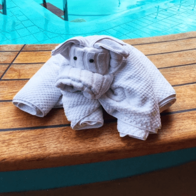 Watching a towel folding demonstration on a Carnival cruise.
