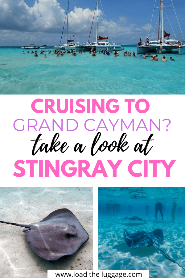 If your Caribbean cruise stops in Grand Cayman then you will definitely want to check out shore excursions to stingray city.  The Cayman Islands is home to these magnificent sting rays.