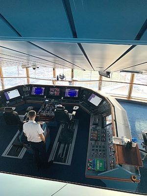 Mariner of the Seas cruise tip - there is a peek-a-boo bridge viewing area. deck 11 forward.
