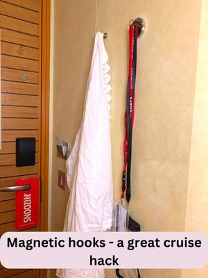 Magnetic hooks - a great cruise essential you can find on Amazon