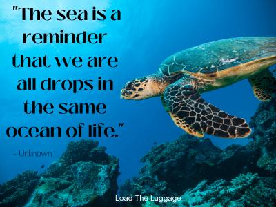 A Love for the Sea: 65 Beautiful Short Sea Quotes - Load the Luggage