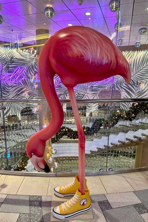 One of the cool things to see on Carnival Celebration - flamingo